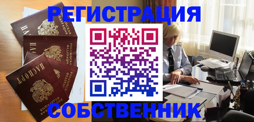 форма 3 в Новозыбкове